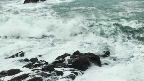 Slow Motion Footage Massive Wave Crashing Rocks Storm Seabird Flies — Stok Video