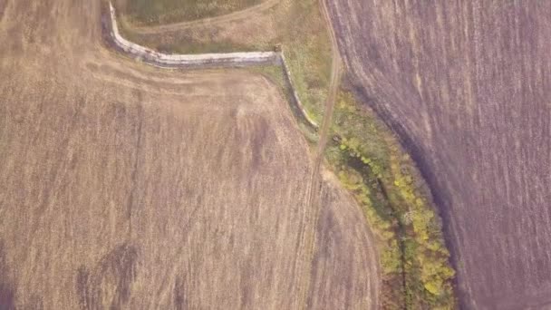 Top Drone Tiro Campos Uma Área Rural — Vídeo de Stock