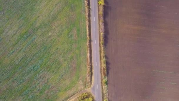 Volare Una Strada Una Campagna Con Alberi Che Guardano Giù — Video Stock