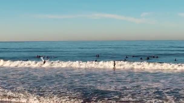 San Clemente Surfers Golden Hour Beautiful California Beach — Stock Video