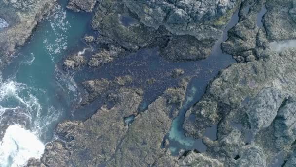 Entrada Piscina Rocha Mar Aberto Com Enorme Lote Algas Marinhas — Vídeo de Stock