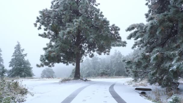 Prima Neve Della Stagione Sulle Montagne Rocciose — Video Stock