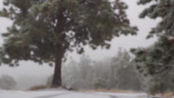 Première Neige Saison Dans Les Rocheuses — Video