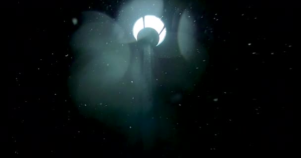 Las Fuertes Nevadas Durante Noche Iluminan Con Una Lámpara Calle — Vídeo de stock
