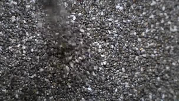 Top Slow Motion Shot Chia Seeds Being Built Top Heaped — Stock Video