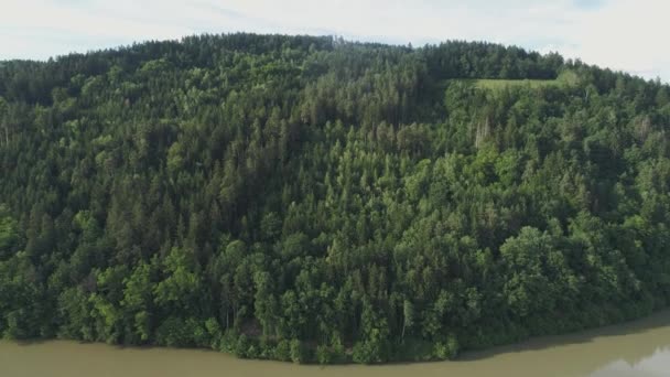 Pull Away Aufnahme Eines Flachen Waldes Der Sommersaison Mit Einem — Stockvideo