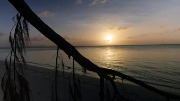 Güneşin Saipan Plajı Boyunca Batışının Zamanı — Stok video