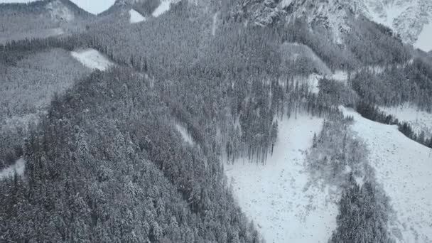 Letecký Pohled Alpskou Zimní Krajinu Ohromnými Horami — Stock video