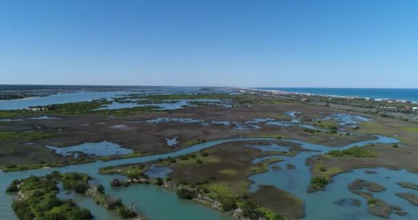 Beach Marshes Matanzas River Aerial Shot — Stock Video