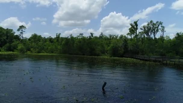 Rivier Drijvend Kruisend Zwevend Langs Kustlijn Lilypads Voorbij Een Steiger — Stockvideo
