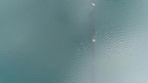 沿着一个附有浮标的鱼网线 沿着平静的纹理湖水向下俯冲 蓝色的水 看起来很抽象 — 图库视频影像