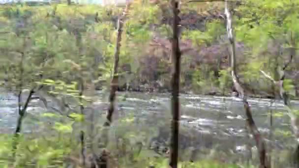 Mountain River Drive 003 Gatlinburg Smoky Mountains — Stock Video