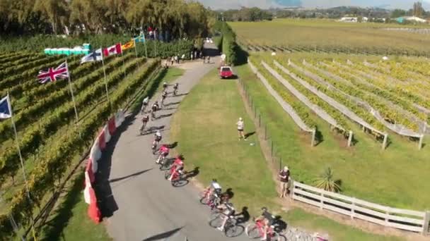 Slowmo Aerial Hátulról Bikers Befejező Verseny Hegyek Háttérben Egy Pincészet — Stock videók