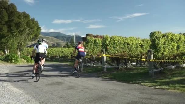 Slowmo Grupa Rowerzystów Tyłu Mijania Wyścigi Winnicy Gór Tle Marlborough — Wideo stockowe