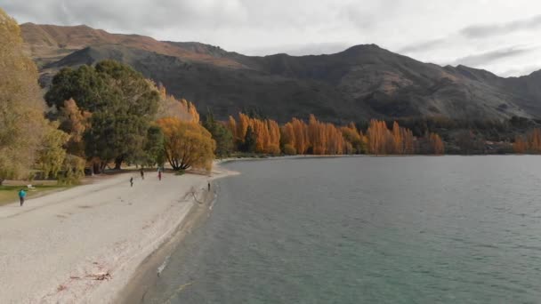 Slowmo Drone Aéreo Vista Costa Lago Wanaka Nova Zelândia Outono — Vídeo de Stock