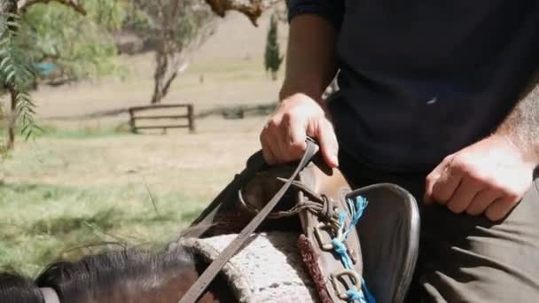Άνθρωπος Στο Άλογο Στην Έρημο Χρησιμοποιώντας Χαλινάρια — Αρχείο Βίντεο