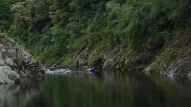 Familie Paddelt Kajaks Durch Schlucht Einheimischen Üppigen Wald Neuseeland Schönen — Stockvideo