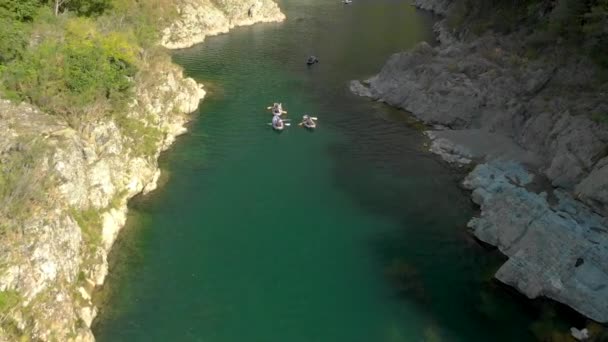 Slowmo People Canoe Tour Paddle Beautiful Pristine Clear Blue Pelorus — Stock Video