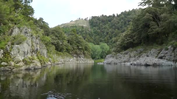 Bella Incontaminata Blu Fiume Pelorus Chiaro Nuova Zelanda Con Rocce — Video Stock