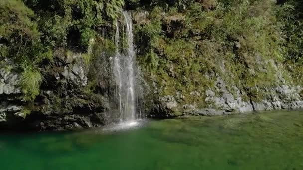 Mooie Waterval Mooie Ongerepte Blauwe Heldere Pelorus Rivier Nieuw Zeeland — Stockvideo