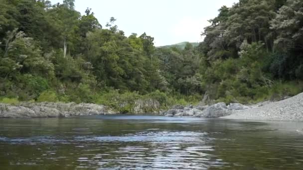 Slowmo Mooie Ongerepte Blauwe Heldere Pelorus Rivier Nieuw Zeeland Met — Stockvideo