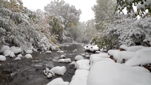 Śnieg Spada Zwolnionym Tempie Boulder Creek Boulder Kolorado — Wideo stockowe