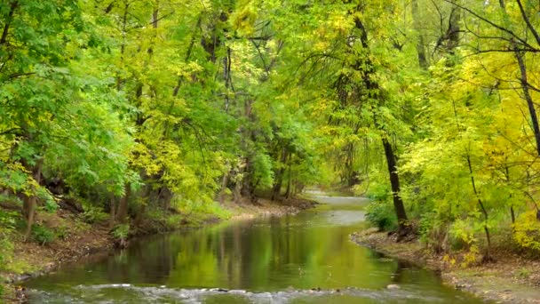 Boulder Creek Boulder Colorado Sonbahar Renkleri — Stok video