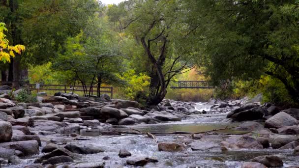 Kolory Jesieni Boulder Creek Boulder Kolorado — Wideo stockowe