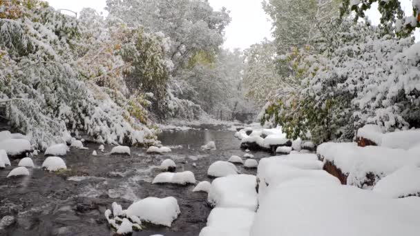 Snowfall Winter Wonderland Boulder Kolorado — Wideo stockowe