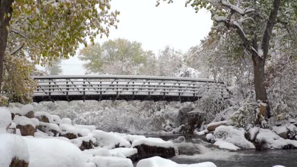 Śnieg Pada Zimowej Krainie Czarów Boulder Kolorado — Wideo stockowe