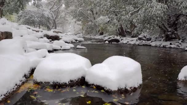 Śnieg Pada Boulder Creek Boulder Kolorado — Wideo stockowe