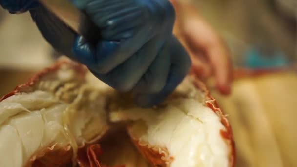 Slowmo Close Preparing Boiled New Zealand Crayfish Split Halves — Stock Video