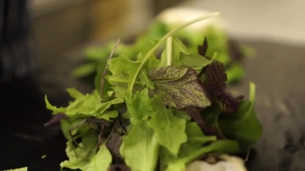 Slowmo Preparación Ensalada Verde Fresca Saludable Restaurante Lujo Cerrar — Vídeos de Stock