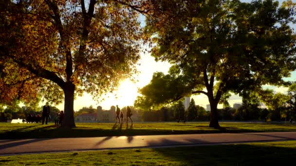 Familie Wandelen Het City Park Tijdens Zonsondergang Denver Colorado — Stockvideo