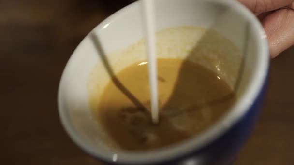 Profesionální Ženský Barista Dělá Rosettu Cappuccino Zblízka — Stock video