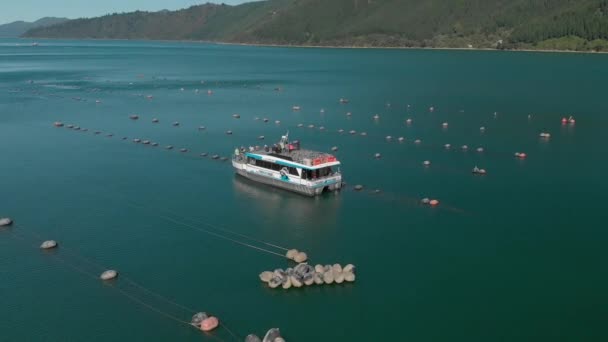 Barco Correo Granja Mejillones Greenshell Marlborough Sounds Nueva Zelanda Aerial — Vídeo de stock