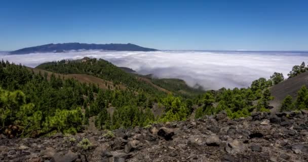 Felhők Tengere Palma Sziget Tetejéről Nézve Ruta Los Vulkánok — Stock videók