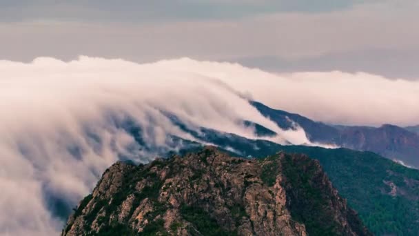 Mar Nubes Vistas Desde Parque Nacional Garajonay Gomera Islas Canarias — Vídeos de Stock