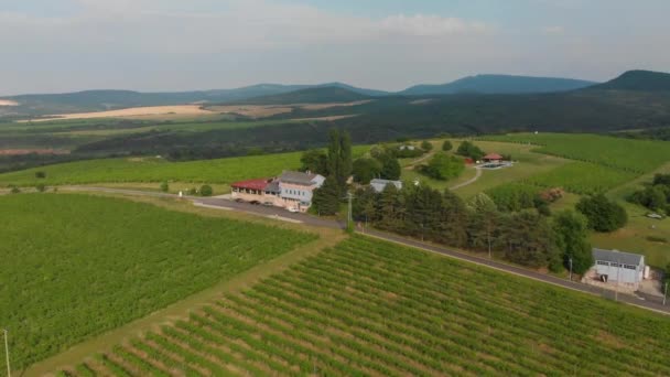 Luxe Resort Accommodatie Omringd Door Wijngaarden Heuvels Van Hongarije Aerial — Stockvideo
