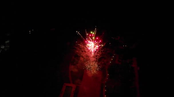 Slowmo Feuerwerk Mit Vielen Bunten Schleifen — Stockvideo