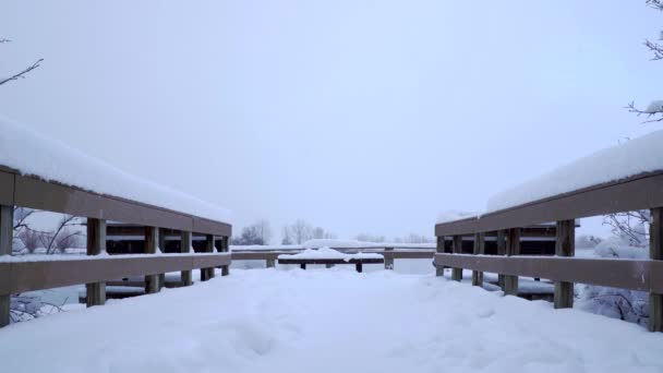 Neve Che Cade Uno Sfondo Ponte — Video Stock