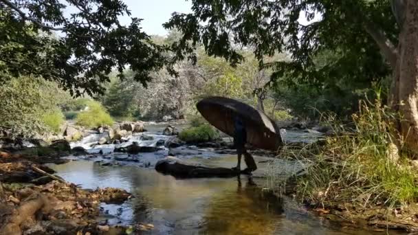 Homem Que Atravessa Riacho Fluvial Rio Cauvery Carregando Coráculo Uma — Vídeo de Stock