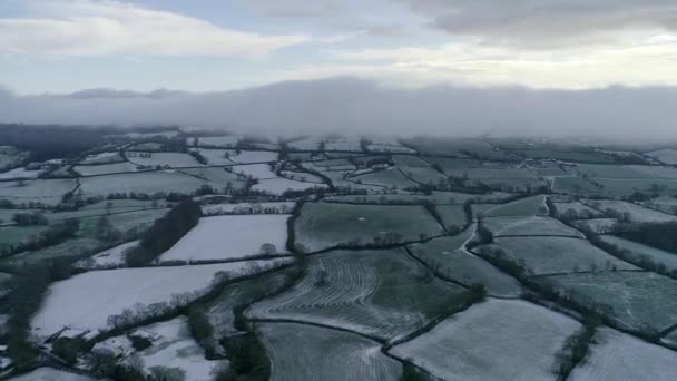 Soğuk Beyaz Yeşil Tarlaların Havası Nanılmaz Desenler Kışın Sislerinden Oluşan — Stok video