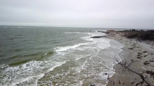 Aerea Della Costa Folly Beach Carolina Del Sud — Video Stock