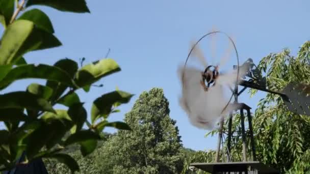 Ferme Moulin Vent Serré Coup Comme Tourne Dans Vent — Video