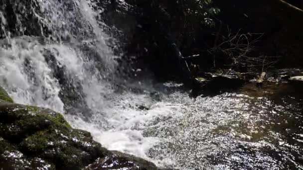 Dağ Şelalesinin Yamacından Süzülen Suyun Yavaş Hareketi Saniyede 180 Kare — Stok video