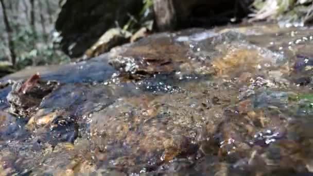 180 Çerçeve Hızı Dağ Deresinde Hızlı Hareket Eden Suyun Dar — Stok video