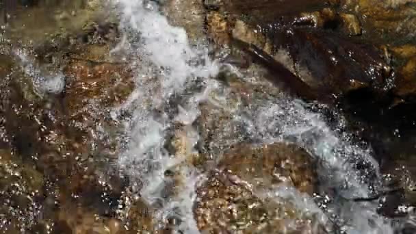 Slow Motion 180 Fps Shot Water Mountain Stream — Stock Video