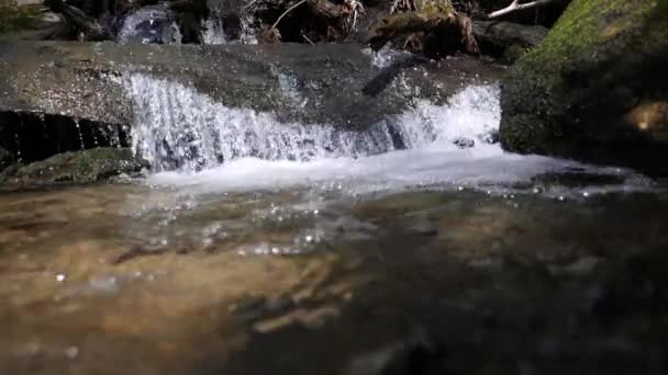 Pequena Cachoeira Tiro 180 Quadros Por Segundo Câmera Lenta — Vídeo de Stock