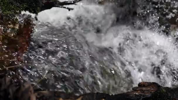 Hermosa Toma Cámara Lenta Agua Que Fluye Arroyo Claro Montaña — Vídeo de stock